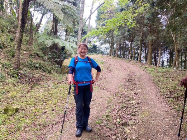 鵝公髻山（小百岳）鵝公髻山東北峰2449871