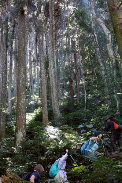 1140823油羅山2868154