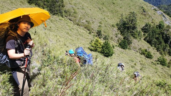 硬邦邦四天「雪山西稜」全記錄！大雪山黃金稜線必訪1451300