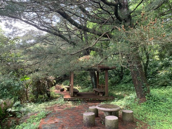 大崎棟古道、騎龍古道2772244