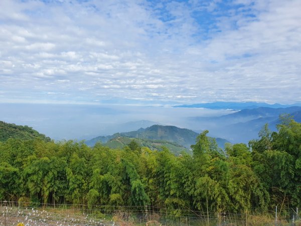 【雲嘉茶園之美】後棟山連走大二尖山1532237