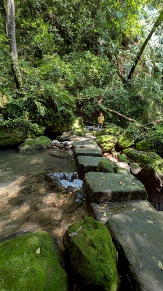 114.04.27草山觀瀑吊橋-紫明溪步道之旅2771773