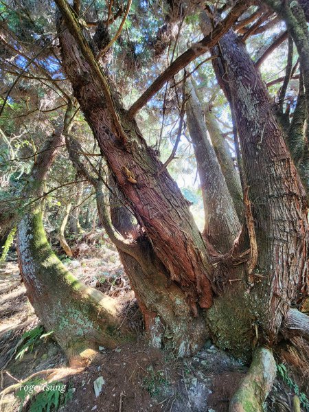 谷關踏青尋吃享溫泉(馬崙山 山江客家料理 露泉渡假溫泉館)2057376