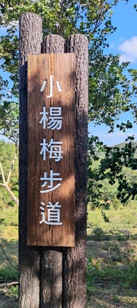 秀才登山步道2936916