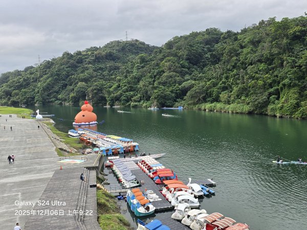 2025-12-06微笑山線：【二格山系】和美山螢火蟲段2956803