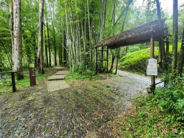 20250719頂湖上大凍山2907163