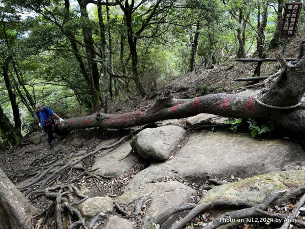 加里山好精彩2547413