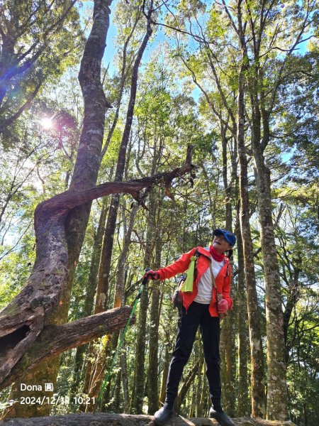 【谷關七雄】屋我尾山(H1796m)＆屋我尾山北峰(H1784m)熱身行2670236