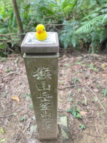 微笑山⛰️線-大棟-二格山-五分山-天上山-鳶山💎12條步道完成💙2834165