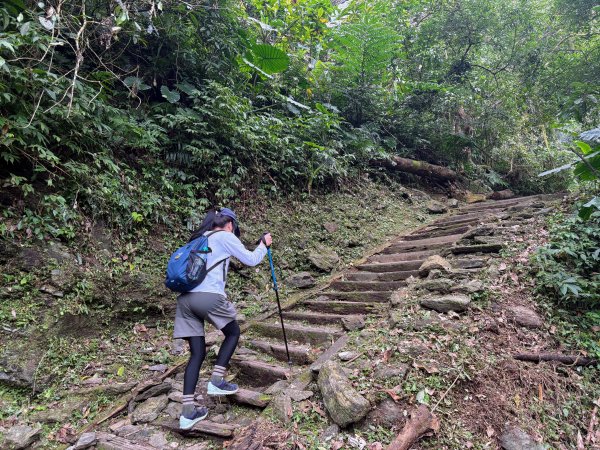 鯉魚山步道群2728326