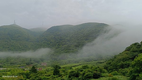 陽明山再見雲海&雲瀑5/23 #五色鳥育雛2510722