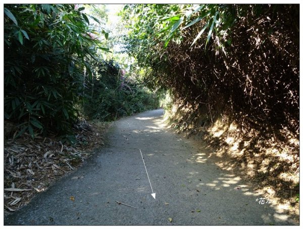 老鼠崎登山步道、觀雲嶺、三汀山1963992