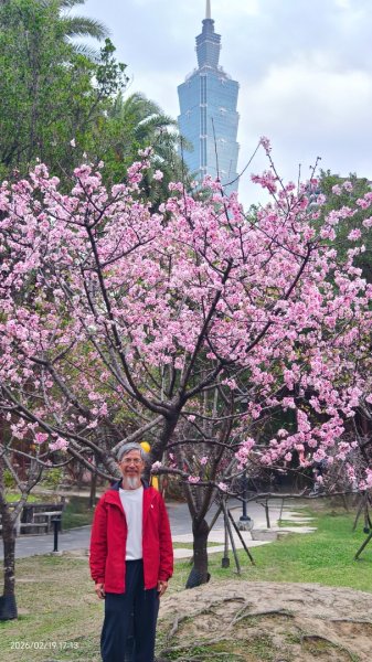 #虎山  #101大樓  #國父紀念館 #河津櫻 #中正紀念堂 2/193002689