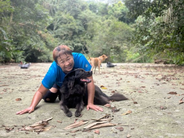 阿里山達娜伊谷、里美避難步道、巨石板步道2909928