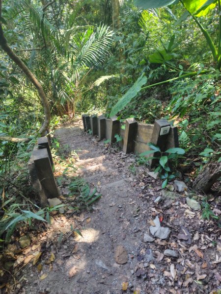 唐麻丹山 蝴蝶谷2918970