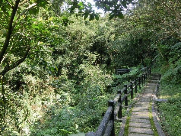 姜子寮山．泰安瀑布．鐵道公園105816