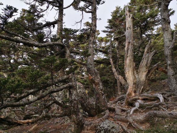 圓峰=>鹿山1091341