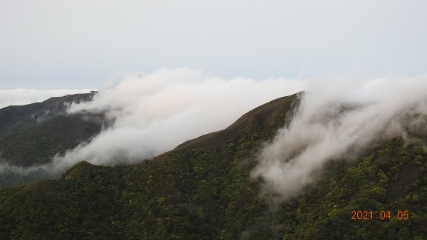 0405陽明山再見雲瀑，今年以來最滿意的一次1335502