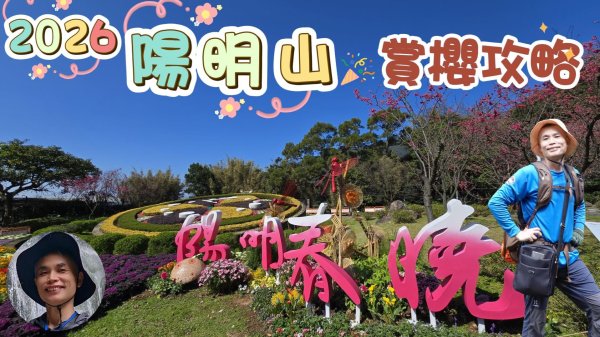 2026陽明山賞櫻攻略，陽明山不僅有山櫻、寒櫻、八重櫻、昭和櫻、吉野櫻、墨染櫻…等多種櫻花，櫻花林面積最大最廣，賞櫻期更是全台最久，怎樣才能看到最美麗的櫻花，一次報給你知。