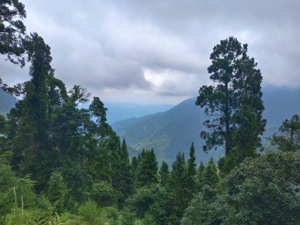 20230624南投信義人倫上西巒大山至巒安堂與牡丹園往返2193988