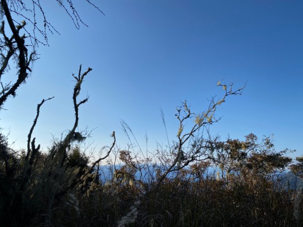 一日單攻白姑大山821542