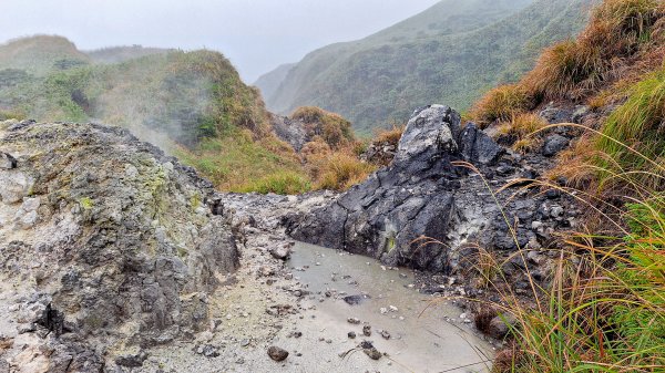 20251019 苗圃-七星山-小油坑2921127