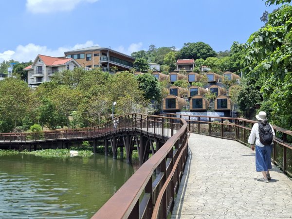 《新竹》湖光山色｜峨眉湖環湖步道+寶山小西湖步道202605173056924