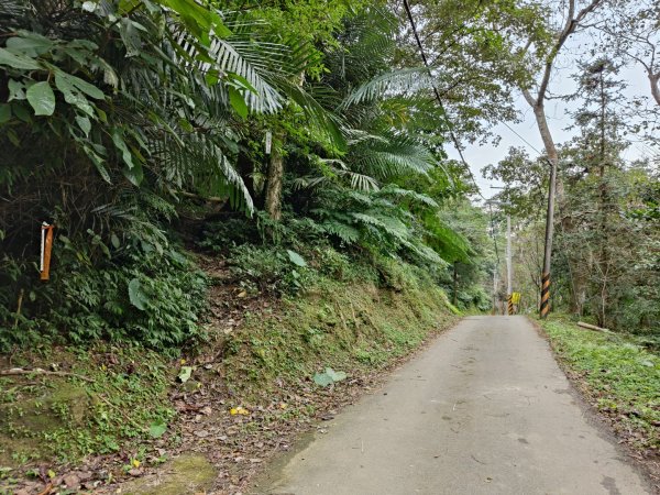 2023.12.27 大溪金面山2839301