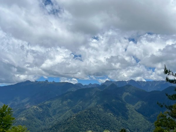 新竹 五峰 觀霧國家森林遊樂區 大鹿林道西線 榛山步道2811397