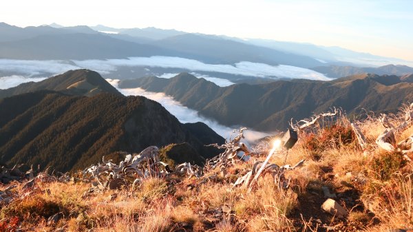 雪山主東峰登山健行趣(百岳02號＆74號)1882718