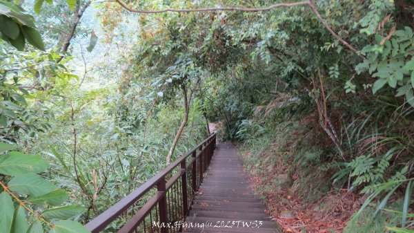 《南投》峰峰相連｜草屯九九峰森林步道O型202509062879312