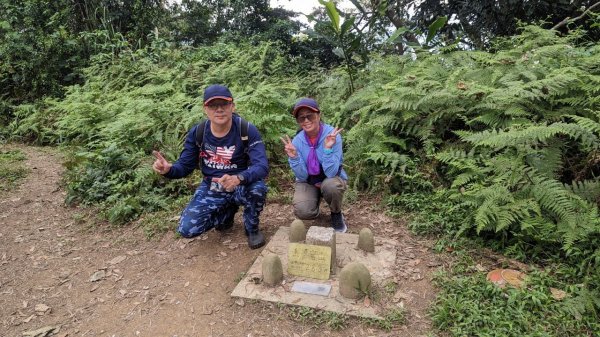 112.04.04王公坑山-烏塗窟山之開滿血藤花2120583