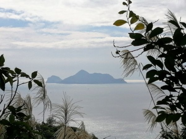 初訪草嶺古道870771