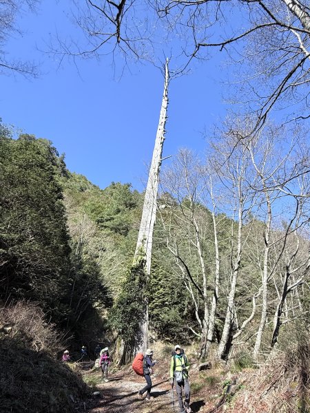 230林道糜爛去    2025.2.28-3.12733771