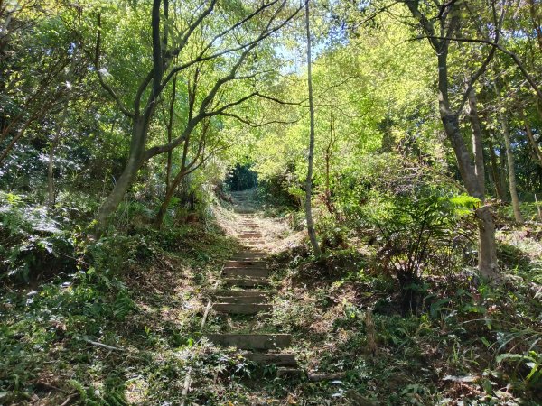 基隆市外西勢坑山+暖暖砲台+福基煤礦遺址O型2907975