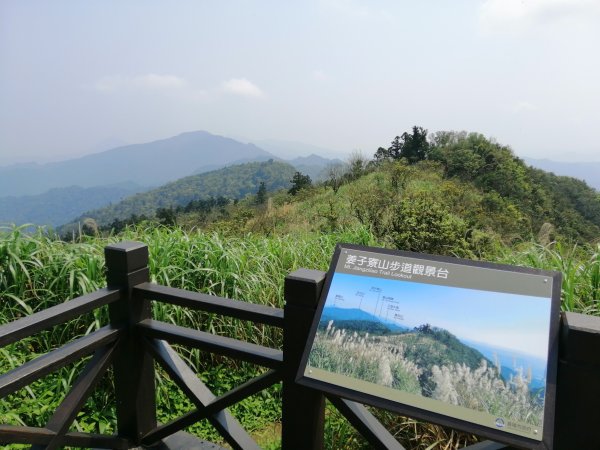 姜子寮山步道&姜子寮絕壁步道549604