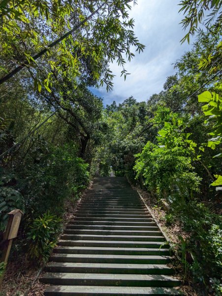 2023-08-26 臺北大縱走第七段2792803