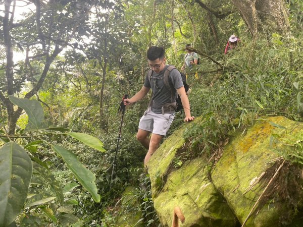 三寶山(烏心石山.鳩州嶺.尖凍山)步道【變成夢魘的大秘寶】2639856