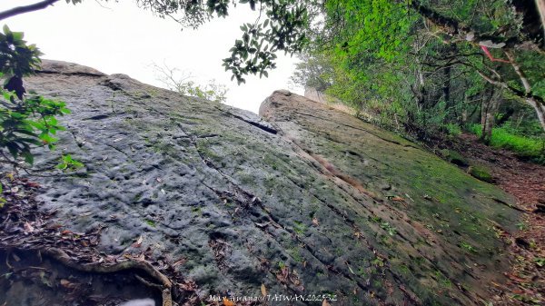 《雲林》望好望角｜石壁山嘉南雲峰步道(中側登山口）202506072805416