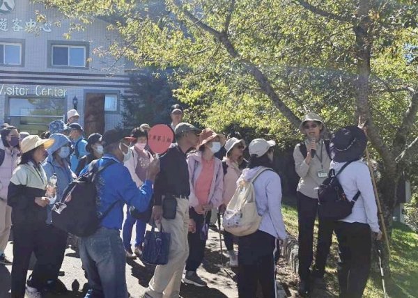 漫遊大雪山森林 訪尋雪山大小神木 快閃天池2922983