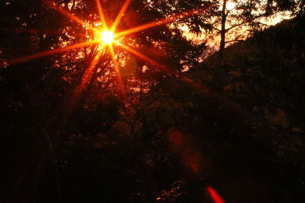 大雪山林道上的落日夕陽217871