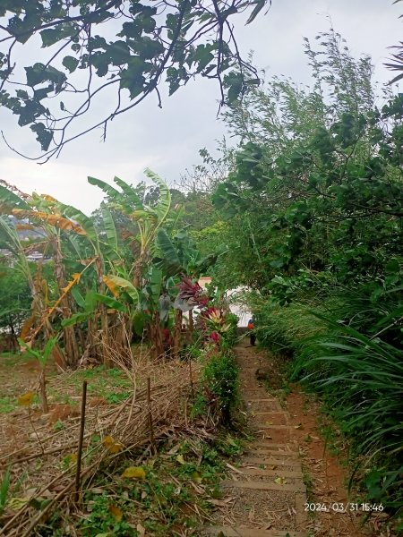 【臺北大縱走 6】中華科大→捷運麟光站、【小百岳集起來】#013 南港山 H375m2470649