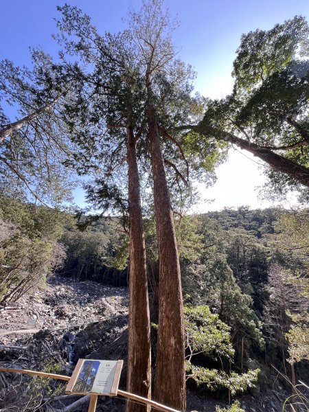 ~ 上帝的部落 - 司馬庫斯 ~3023515