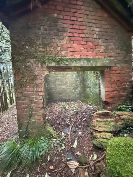 鹿屈山-杉林溪賞花趣2816490