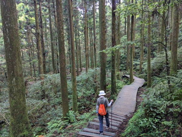 2023-04-03 東眼山自導式步道2792655