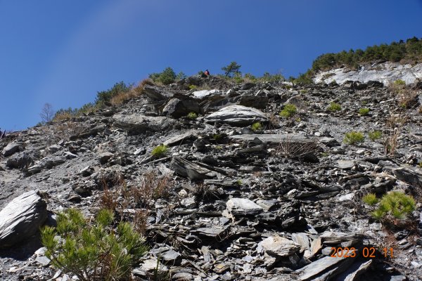 高雄 桃源 關山嶺山2031233