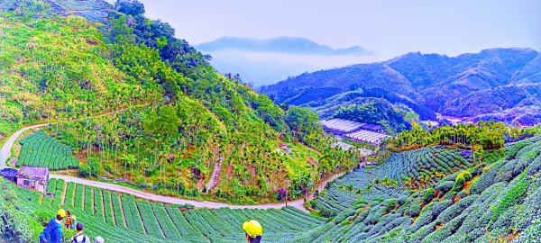 雲嘉五連峰 雲深不知處510941