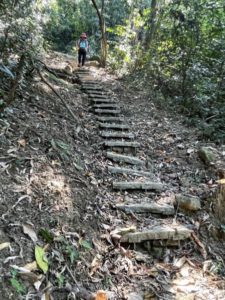 八通關古道社寮段 加碼陳東坑山未竟2023.11.112343681