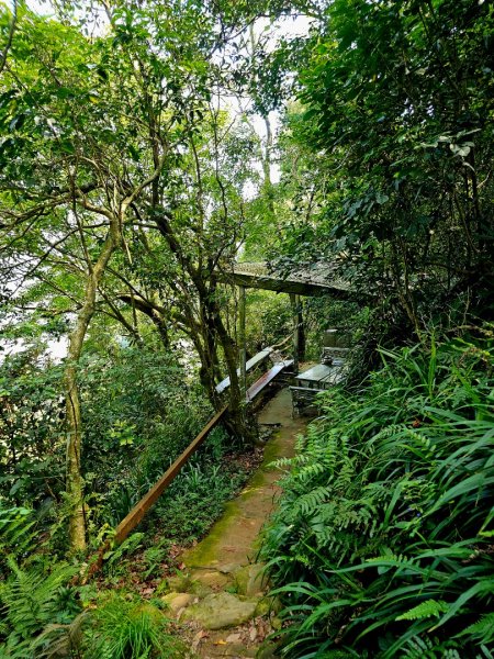 (鳶山山系)鳶山彩壁-2025微笑山線大縱走尋寶集章任務2855203