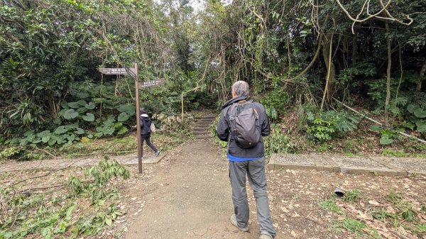114.12.20劉銘傳隧道-獅球嶺北峰-獅球嶺東砲台山-獅球嶺池-獅球嶺砲台山之旅2966698